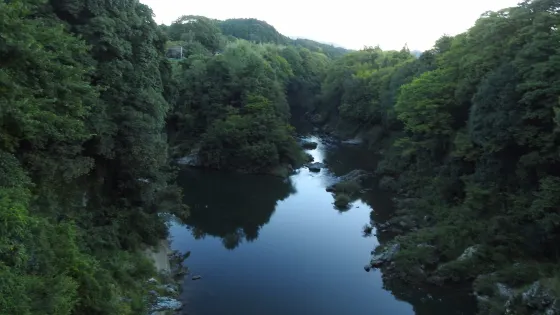 鳥居強右衛門磔死の碑