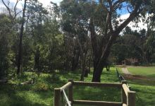 Olivers Creek Bushland Reserve景点图片
