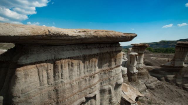 The Hoodoos