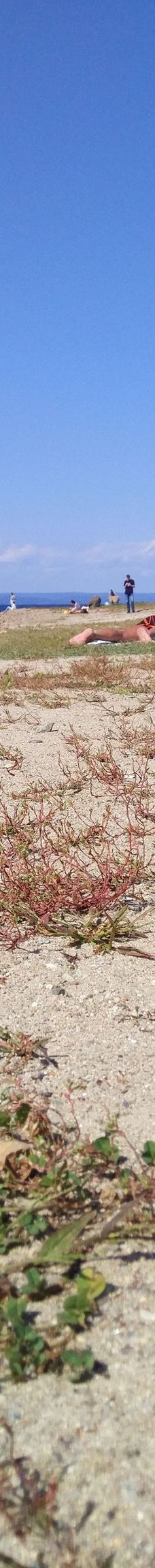 Beach Kungasny-海参崴