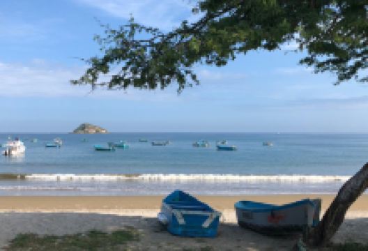 Travesia Surf & Bikes购物图片