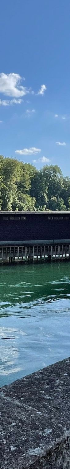 Rhybadi-沙夫豪森