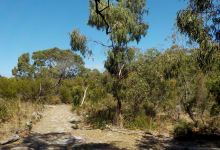 Bay Road Heathland Sanctuary景点图片