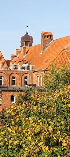 Alter Botanischer Garten-基尔