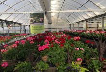 Del's Garden Center, Florist & Landscaping购物图片