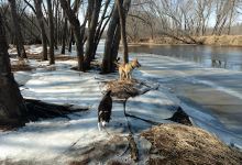 Kettle River Scientific and Natural Area景点图片