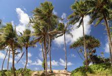 Kaipapa‘U Beach景点图片