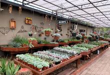 Cape Garden, Joostenbergvlakte Branch购物图片