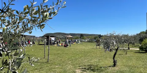 Saltalbero Parco Avventura