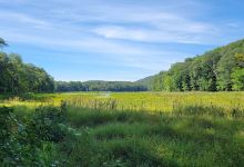 Bennett's Pond State Park景点图片