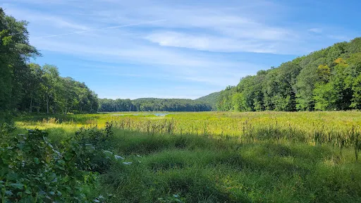 Bennett's Pond State Park