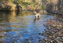 Buckland River景点图片