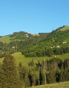 Rossberg ski AG-Niedersimmental District