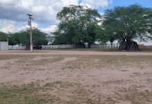 Parque Albelana Vaquejada景点图片