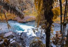 Wisata Berugak Elen Sesaot景点图片