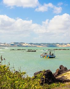 Jangalancha Show-纳塔尔