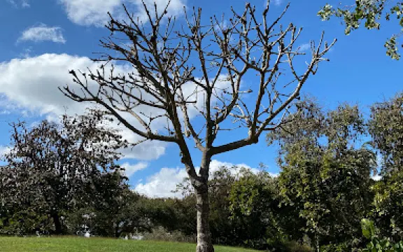Dan Gleeson Memorial Gardens