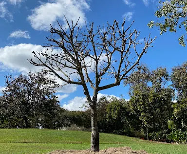 Dan Gleeson Memorial Gardens