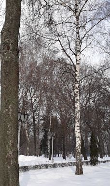 Monument at the Grave Ivan Kotliarevsky-Poltavs'ka city council