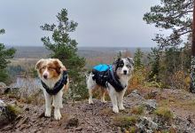 Rannebergets naturreservat景点图片