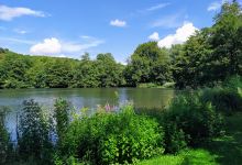 Parc de Rouelles (Arboretum)景点图片