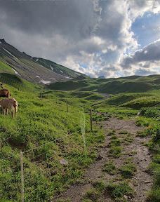 Allgäuer Hochalpen-奥伯斯多夫