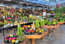Stauffers of Kissel Hill Home & Garden Store购物图片