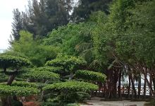 Main Stage - Happy Land Resort景点图片