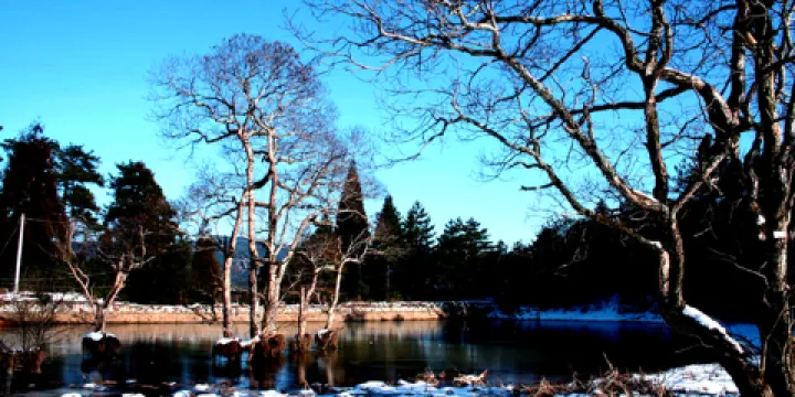 草魚塘森林公園