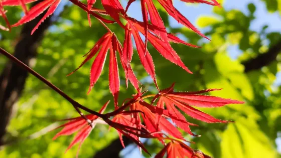 仁和公園