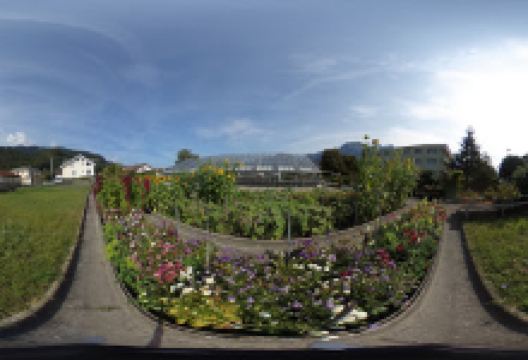 Blumen Iten u. Co.购物图片