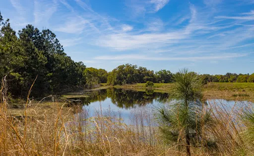 Lower Wekiva River State Preserve