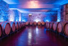 Weingut Kugler Vinum Saxum景点图片