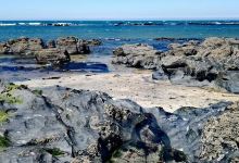 Amorosa Beach景点图片