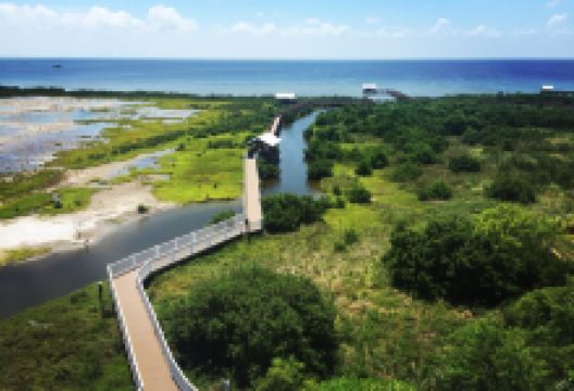 South Padre Island Birding And Nature Center景点图片