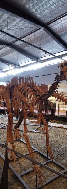 Musee des Dinosaures 'Dinosauria'-埃斯佩拉扎