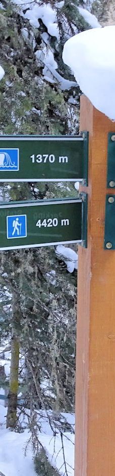 强斯顿峡谷-Improvement District No. 9