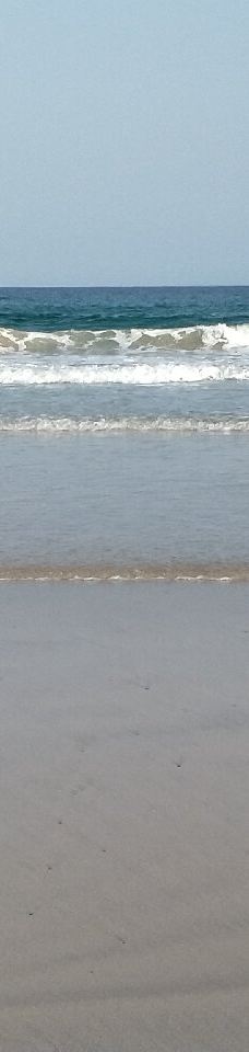 伊豆白滨海岸-下田市