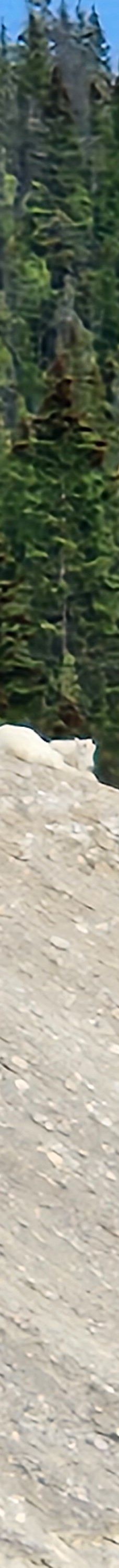 冰原大道-Improvement District No. 9