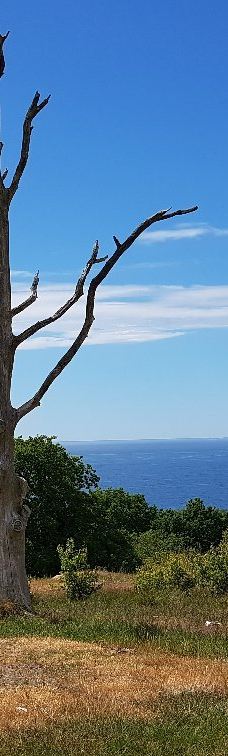 Hammer Lighthouse (Hammer Fyr)-阿灵厄