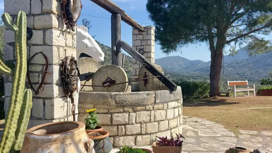 Paraschakis Olive Oil - Crete