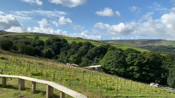 Holmfirth Vineyard