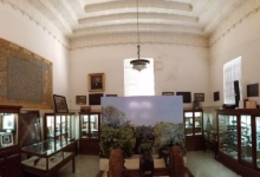 Gonzales Memorial Museum景点图片