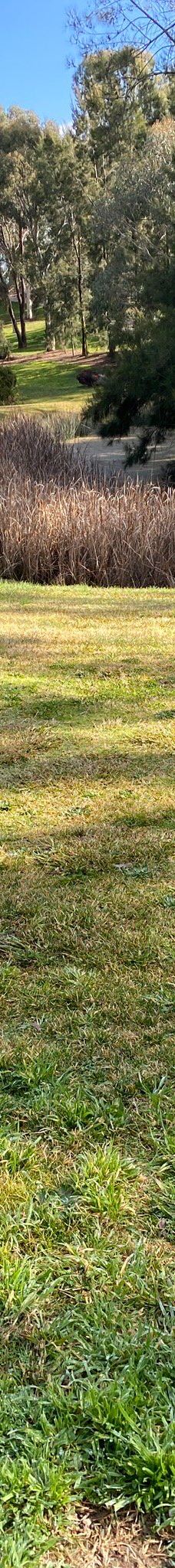 Orange Botanic Gardens-奥兰治