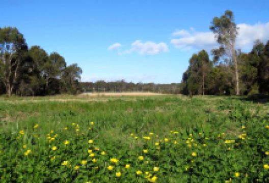 Panboola Wetlands景点图片