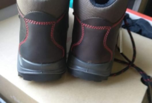 Sport Walter购物图片
