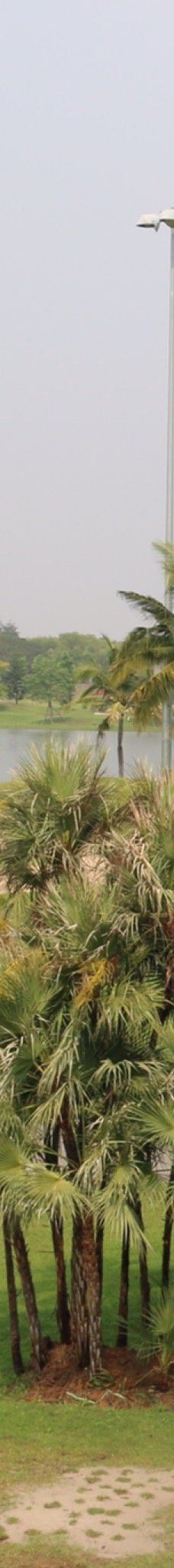 Ayutthaya Golf Club-大城