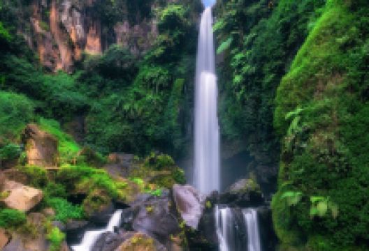 Coban Talun Waterfall景点图片