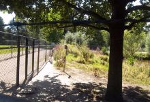 Kinderboerderij 't Weusthag景点图片