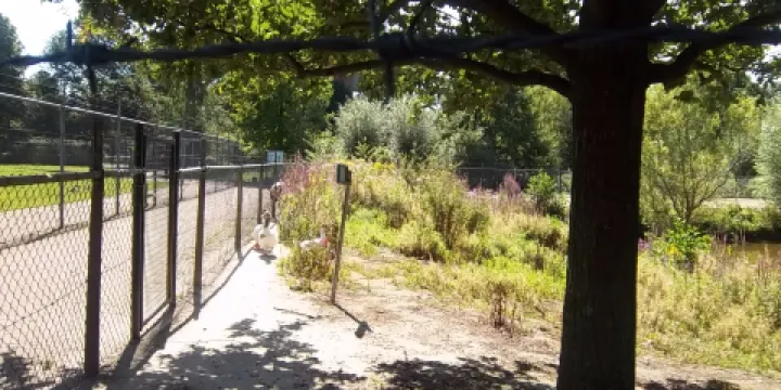 Kinderboerderij 't Weusthag